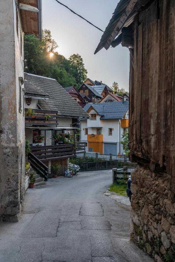 Holiday House Zupanc Bohinj ภายนอก รูปภาพ